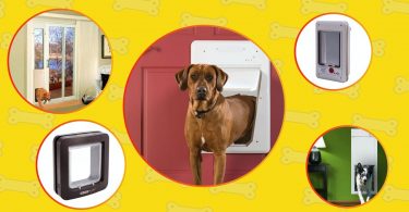 The list of the best smart dog doors by Technobark