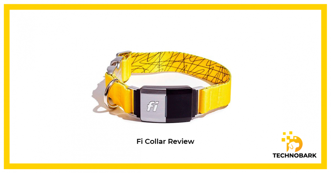 Fi collar review
