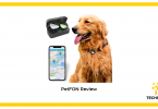 Reviewing PEtFON Pet GPS Tracker and testing it on Gold Retriever
