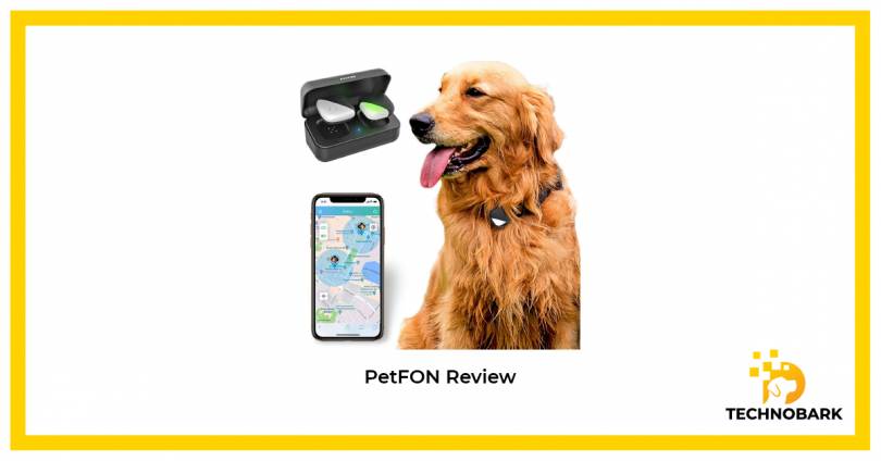 Reviewing PEtFON Pet GPS Tracker and testing it on Gold Retriever
