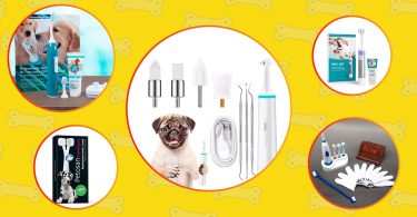 Top-rated dog electric toothbrushes