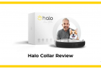 Halo Collar Review