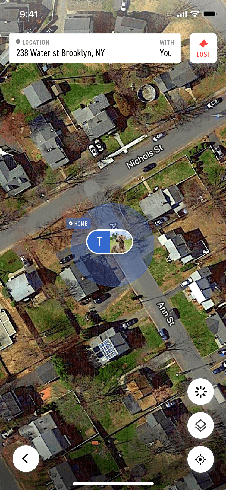 Satellite map view on Fi dog collar app while tracking my dog