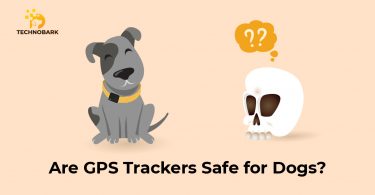 Happy dog with gps device in it and with the quationed skull on the right side.