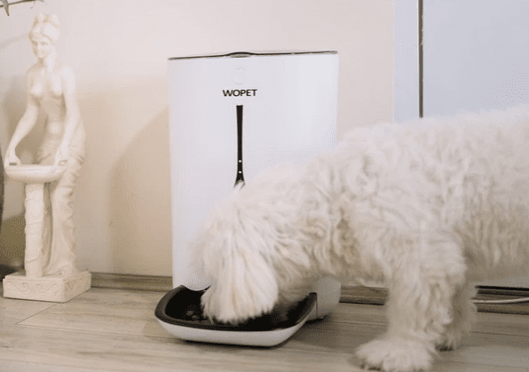 Dog is eating from Wopet Automatic Feeder