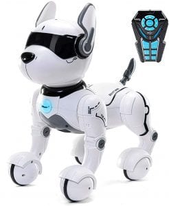 Top race robot dog