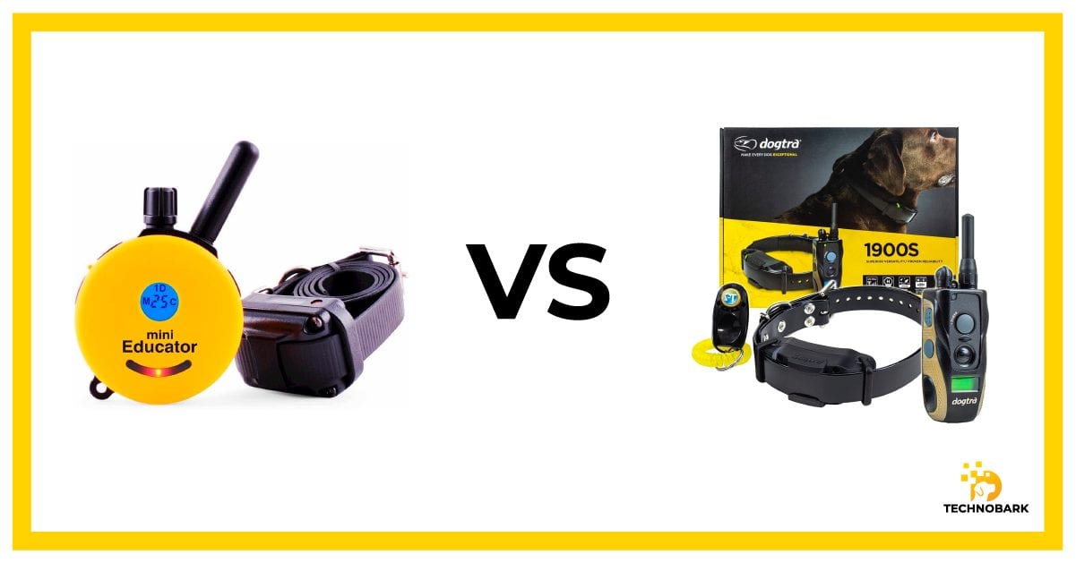 Mini educator VS Dogtra