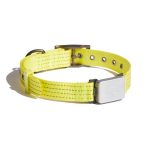 Whistle Switch smart collar thumbnail