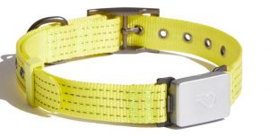Whistle Switch smart collar