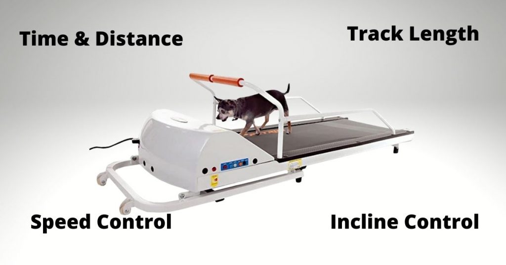 4 factors to consider when choosing dog treadmill
