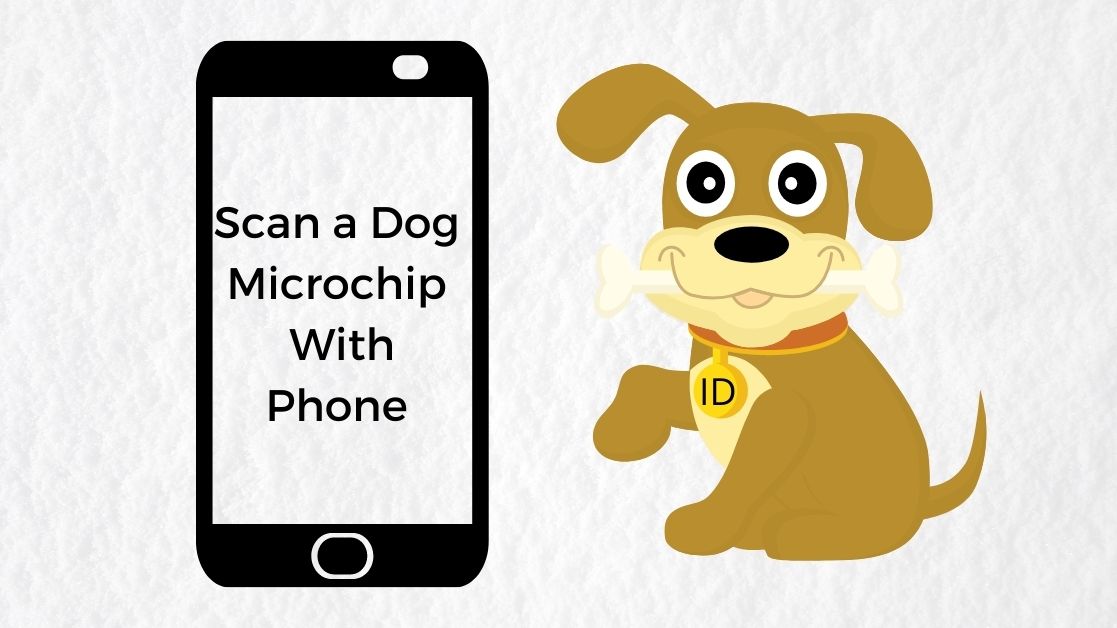 Scanning dog's microchip with iPhone