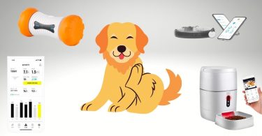 dog and different technologies