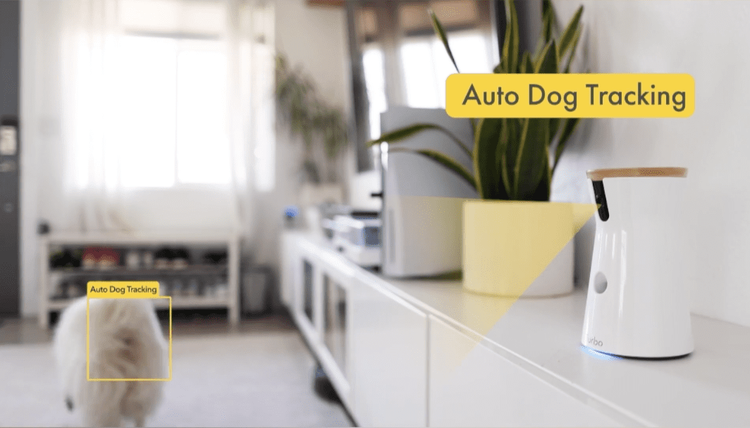 Auto dog tracking on Furbo camera