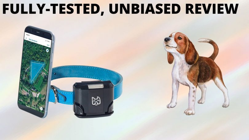 Wagz smart collar review featured image