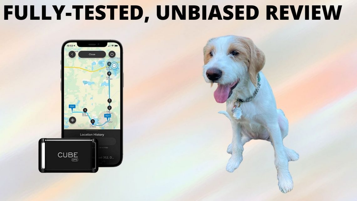 cube gps tracker on my dog review
