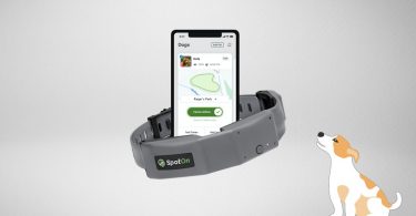 SpotOn Collar review featured image