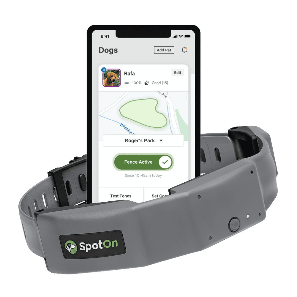 SpotOn collar with app, one of the best new inventions for dogs