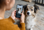 Dog Translator