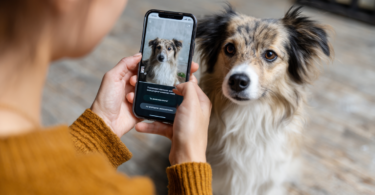 Dog Translator