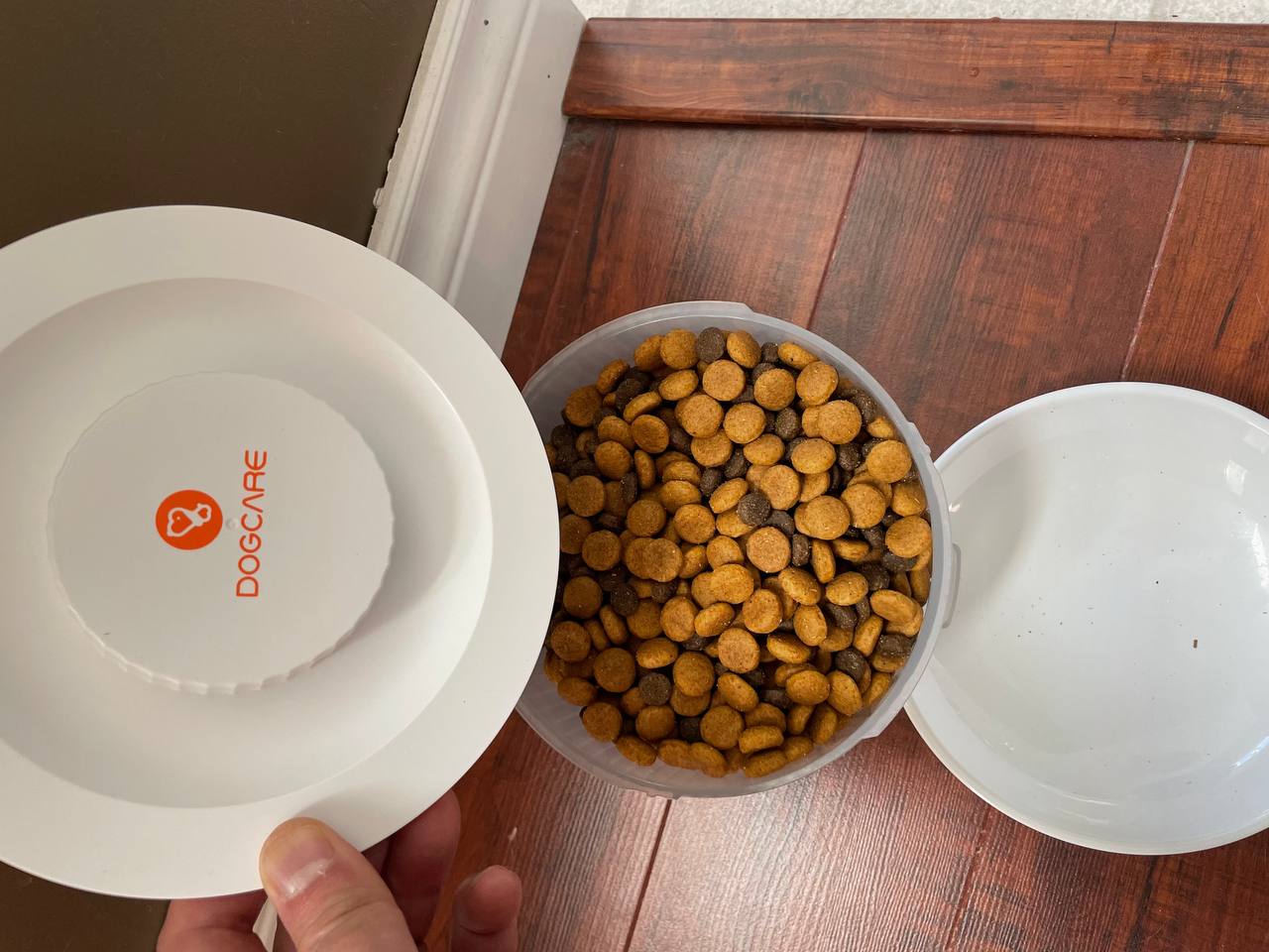 Dry kibble in Dogcare Automatic Dog Feeder