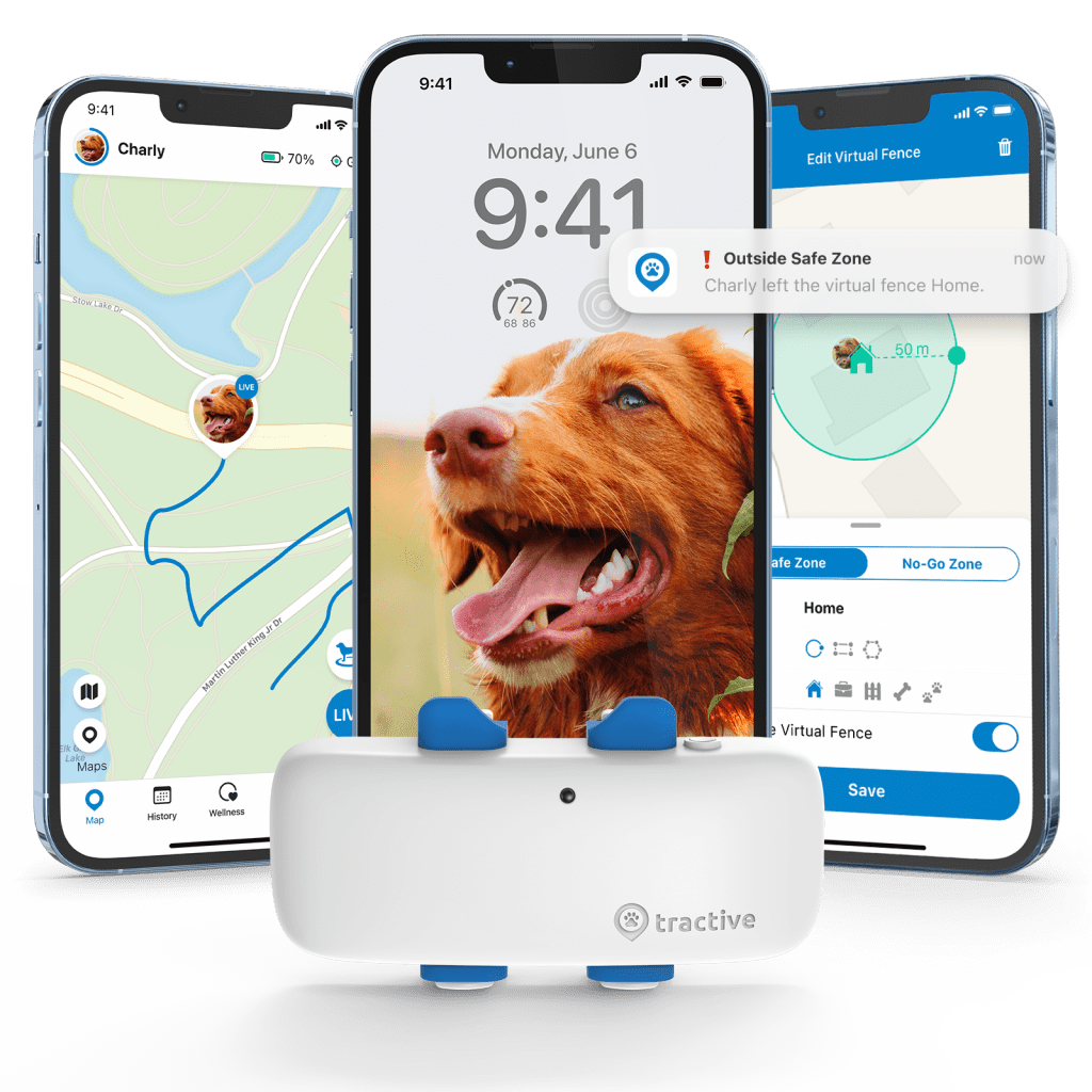 Tractive GPS tracking collar