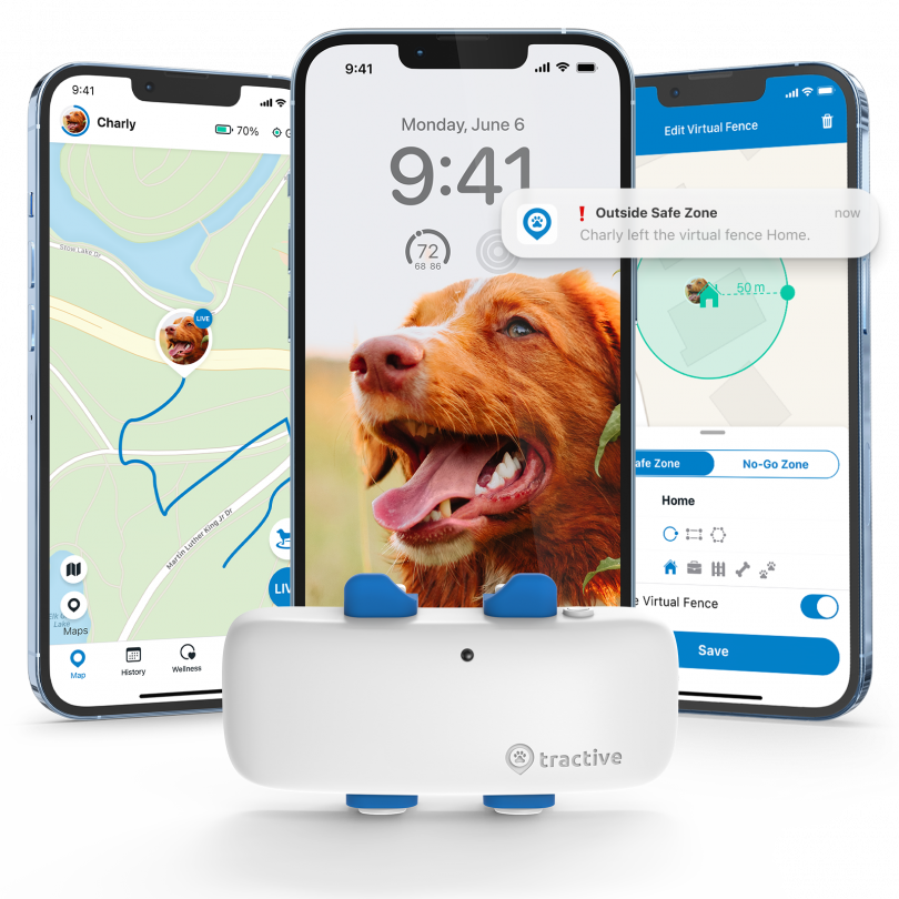 Tractive GPS Collar Review: How I Spend $49 And What I Got