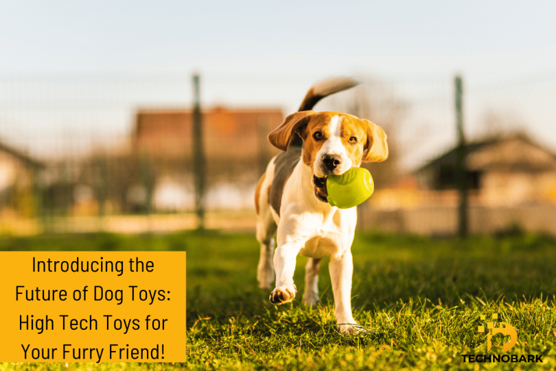 Introducing the Future of Dog Toys: High Tech Toys for Your Furry Friend!