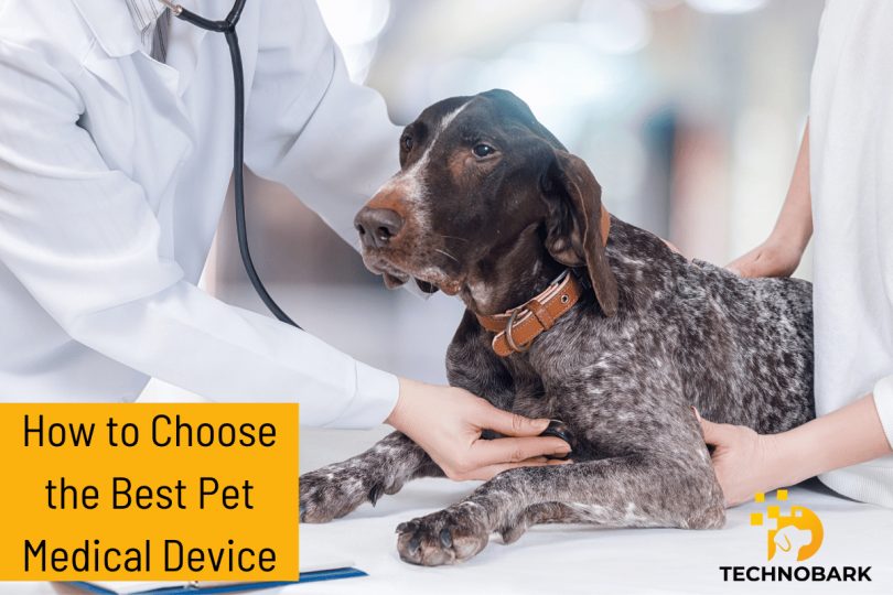 A Guide to Choosing the Right Pet Medical Device and Supplies for Your Furry Friend