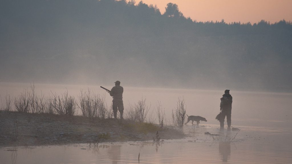 Man and dog hunting on lakeshore