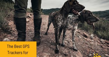 The Best GPS Trackers for Hunting Dogs