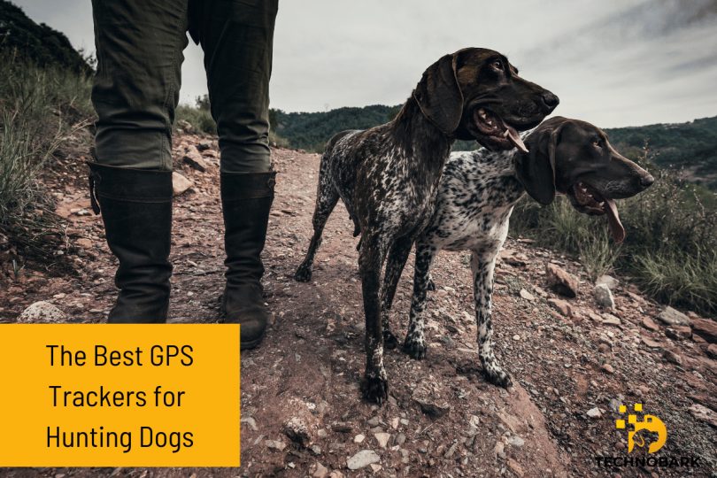 The Best GPS Trackers for Hunting Dogs