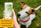 Discover the top 5 benefits of using a GPS dog tracking collar and learn how to keep your furry friend safe and secure no matter where you go!