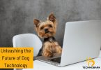 Cute yorkie in glasses at a laptop computer exploring new dog inventions