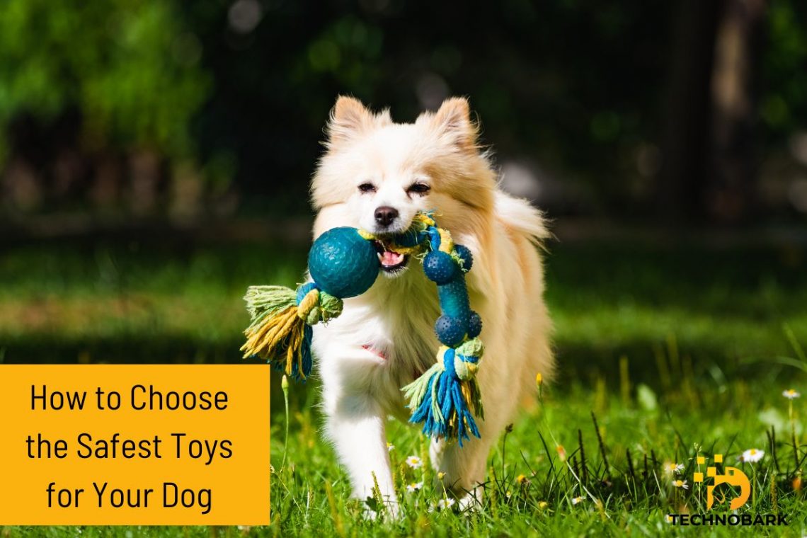 How to Choose the Safest Toys for Your Dog