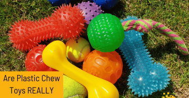 "Discover the truth about plastic chew toys for dogs! Pros & cons revealed in this insightful blog post. Make informed choices! 🐾🐶 #DogToys"