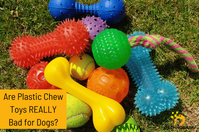 "Discover the truth about plastic chew toys for dogs! Pros & cons revealed in this insightful blog post. Make informed choices! 🐾🐶 #DogToys"