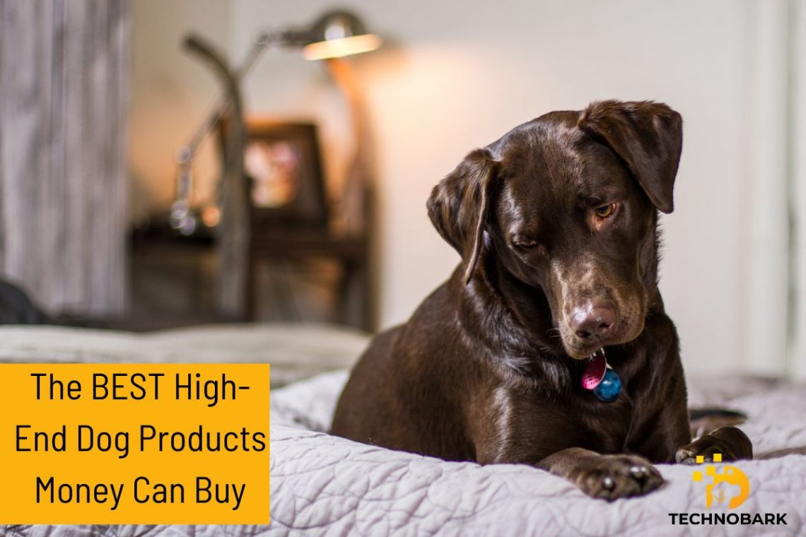 The Best High-End Dog Products That Money Can Buy