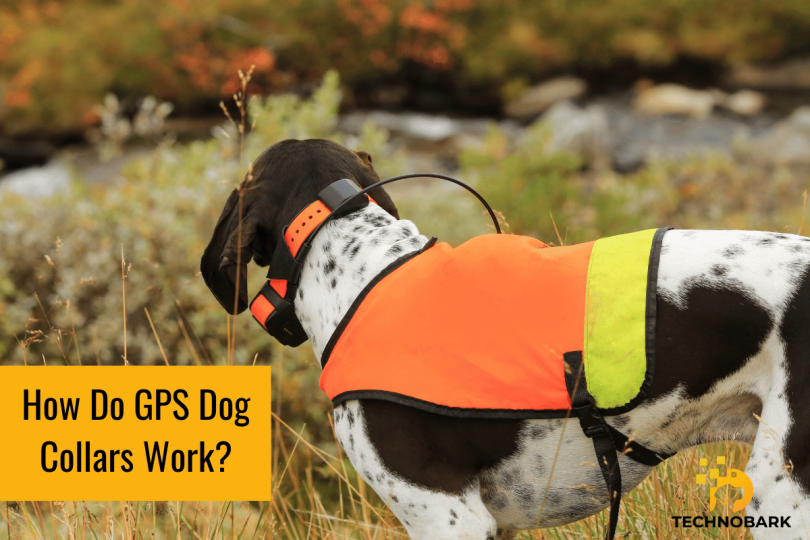 how do gps dog collars work