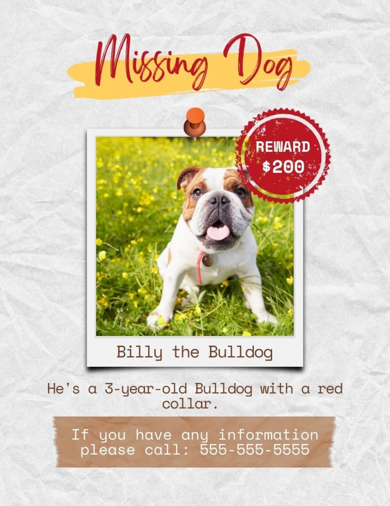 Create a Lost Dog Flyer