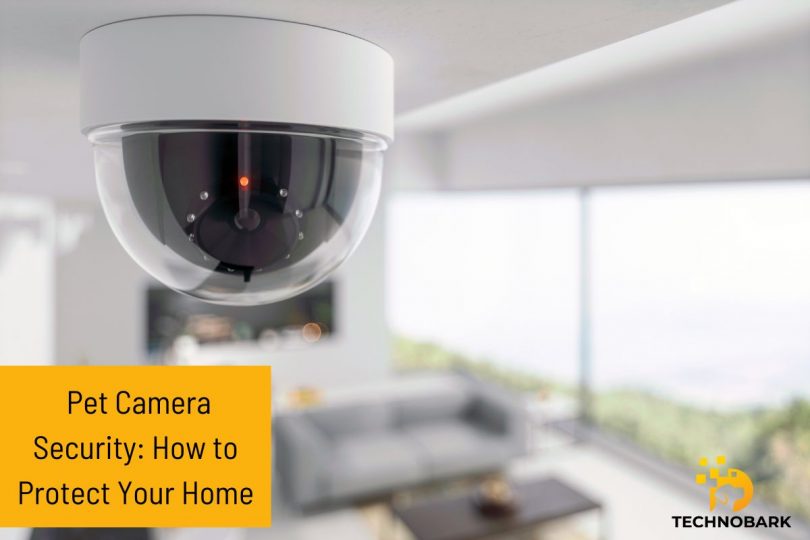 What Pet Owners Need to Know About Pet Camera Security: How to Protect Against Hacking