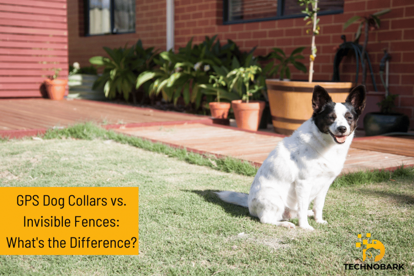 GPS dog collars and invisible fences sound similar, but they each offer significantly different benefits. Learn about option & choose the best for your dog!