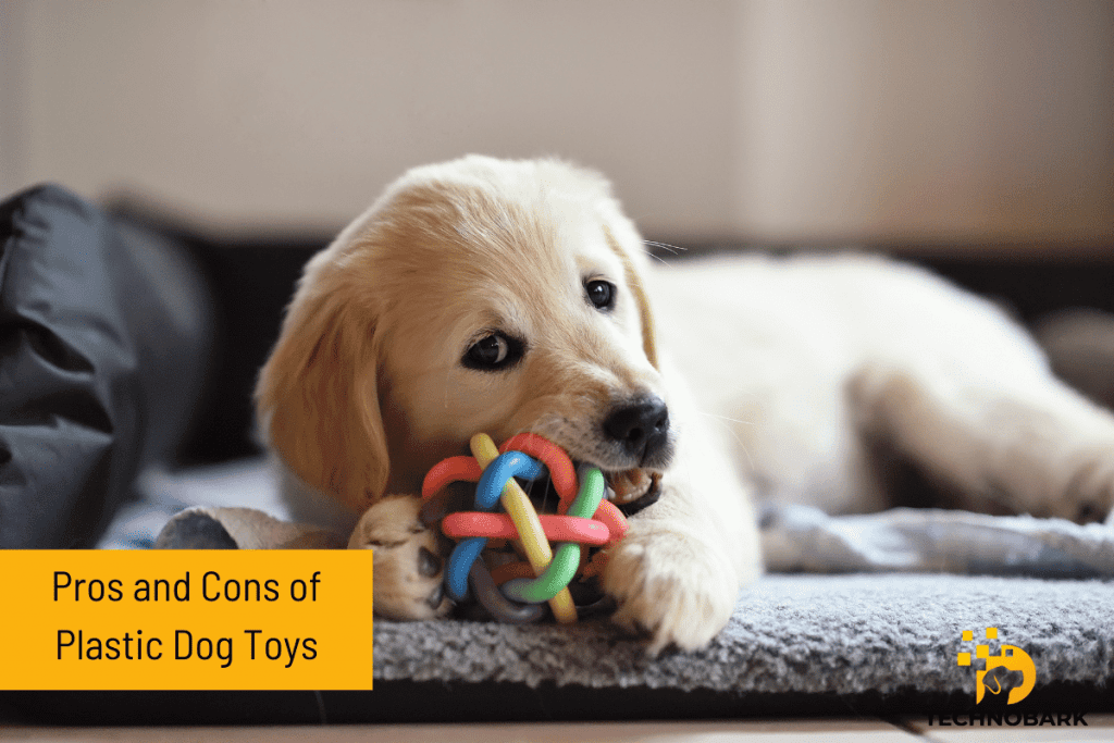 The Pros and cons of Plastic Chew Toys