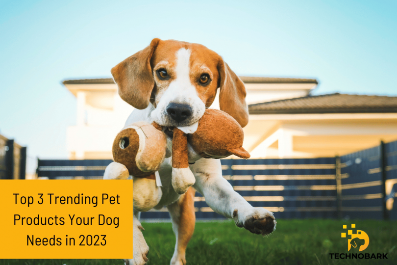 3 Trending Pet Products for 2023: What Your Pet Needs Now!