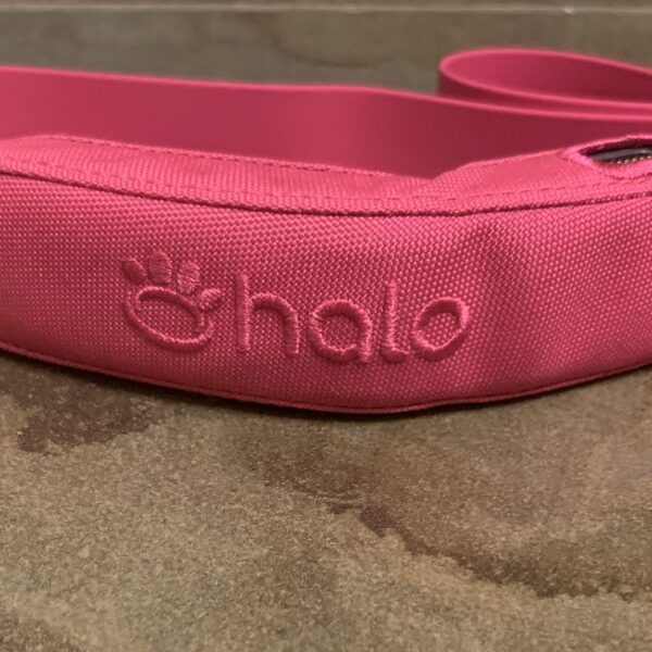 Tractive GPS Dog Tracker VS Halo Collar 5: Which Should You Choose?