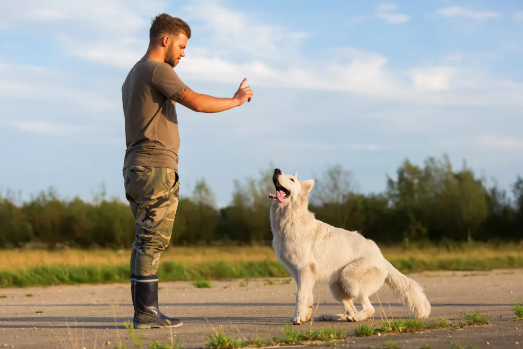 Man using alternatives to shock collars to train his dog