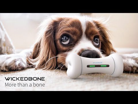 PETGEEK Interactive Dog Toys, Durable Motion Activated Automatic Dog Bone  for Medium & Large Dogs Boredom, Electronic Dog Enrichment Toys to Chase