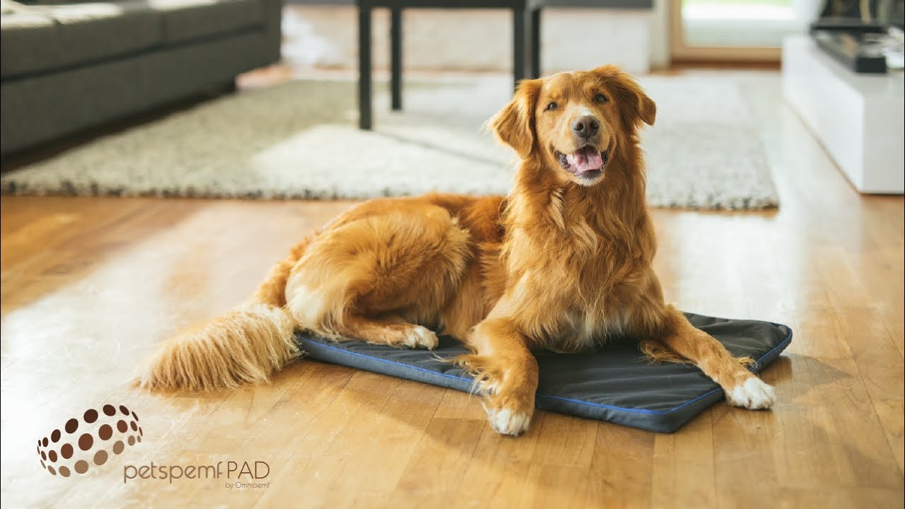 Petspemf Pad for Dogs | PEMF Therapy Mat / Bed for Dogs