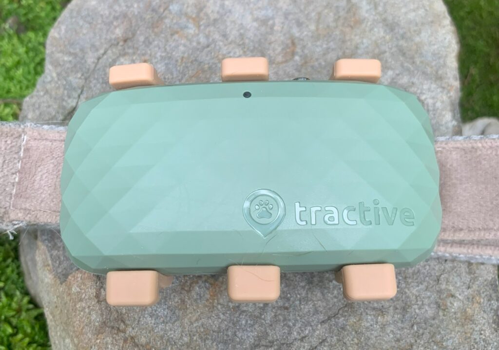Tractive is built for adventure! (Nicole Etolen)