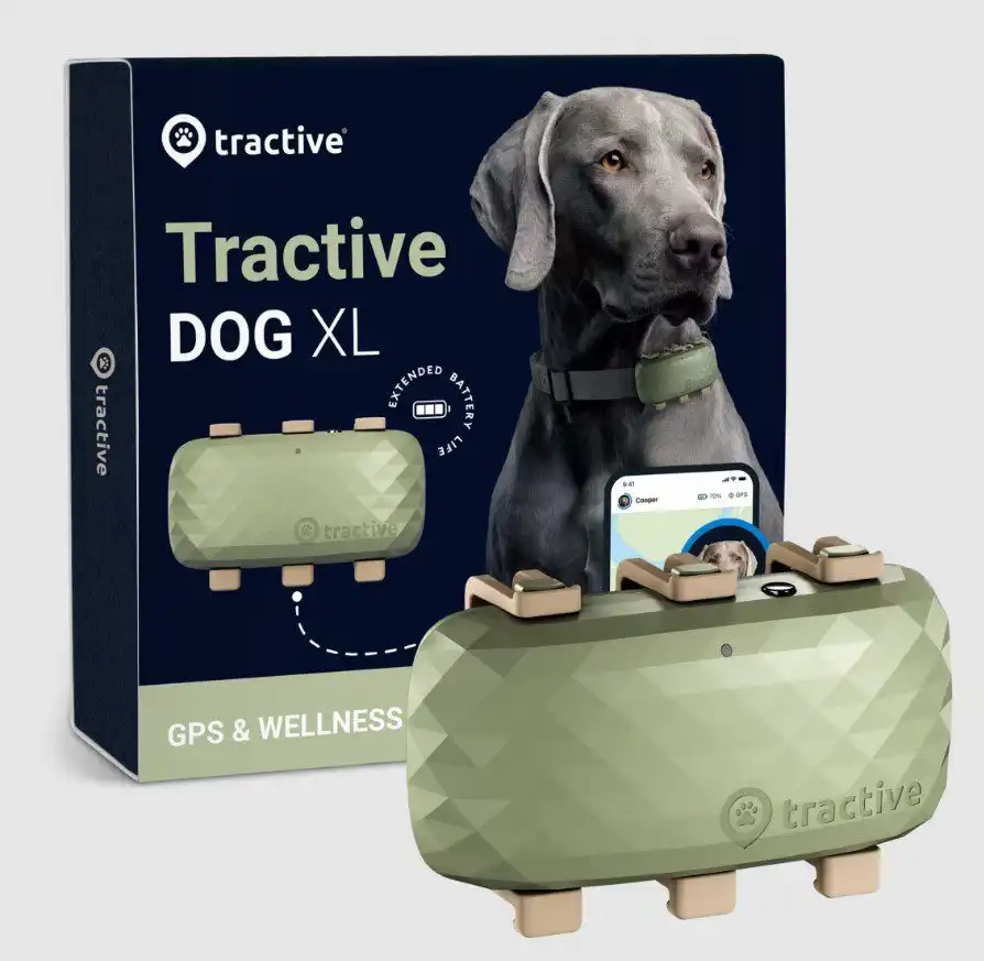 GPS Tracker for Dogs - Long Battery Life | Tractive