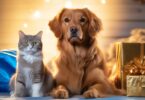 Black Friday pet deals
